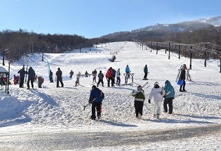 家族で楽しめるニセコスキー場